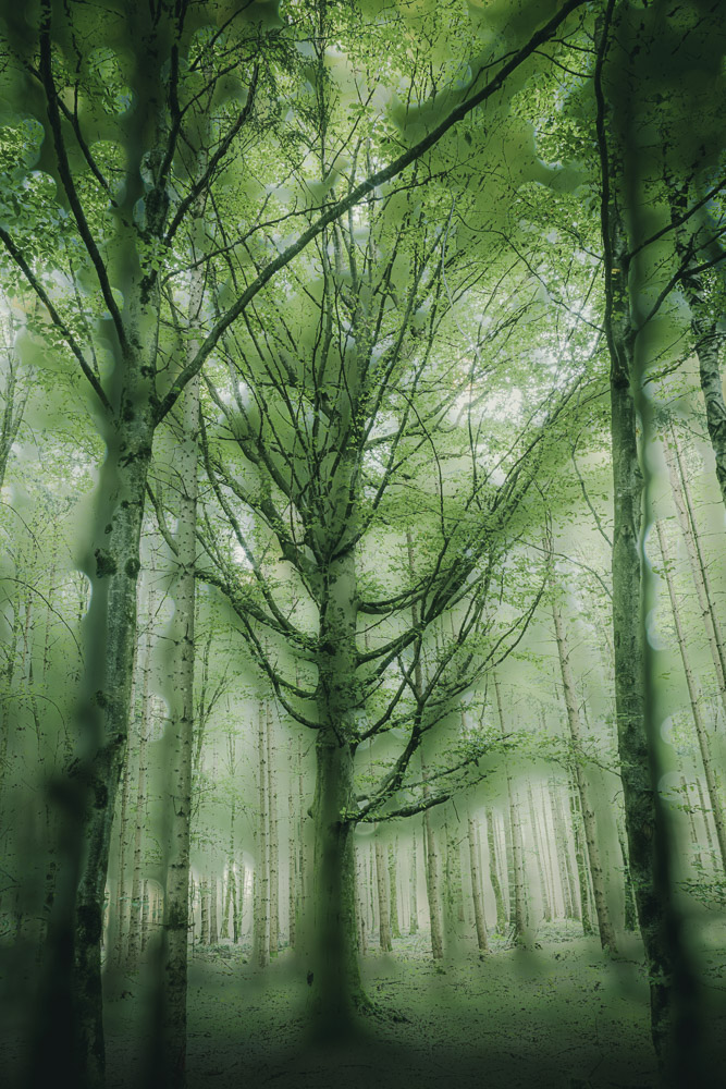 Platz 4 Conny Kleiner